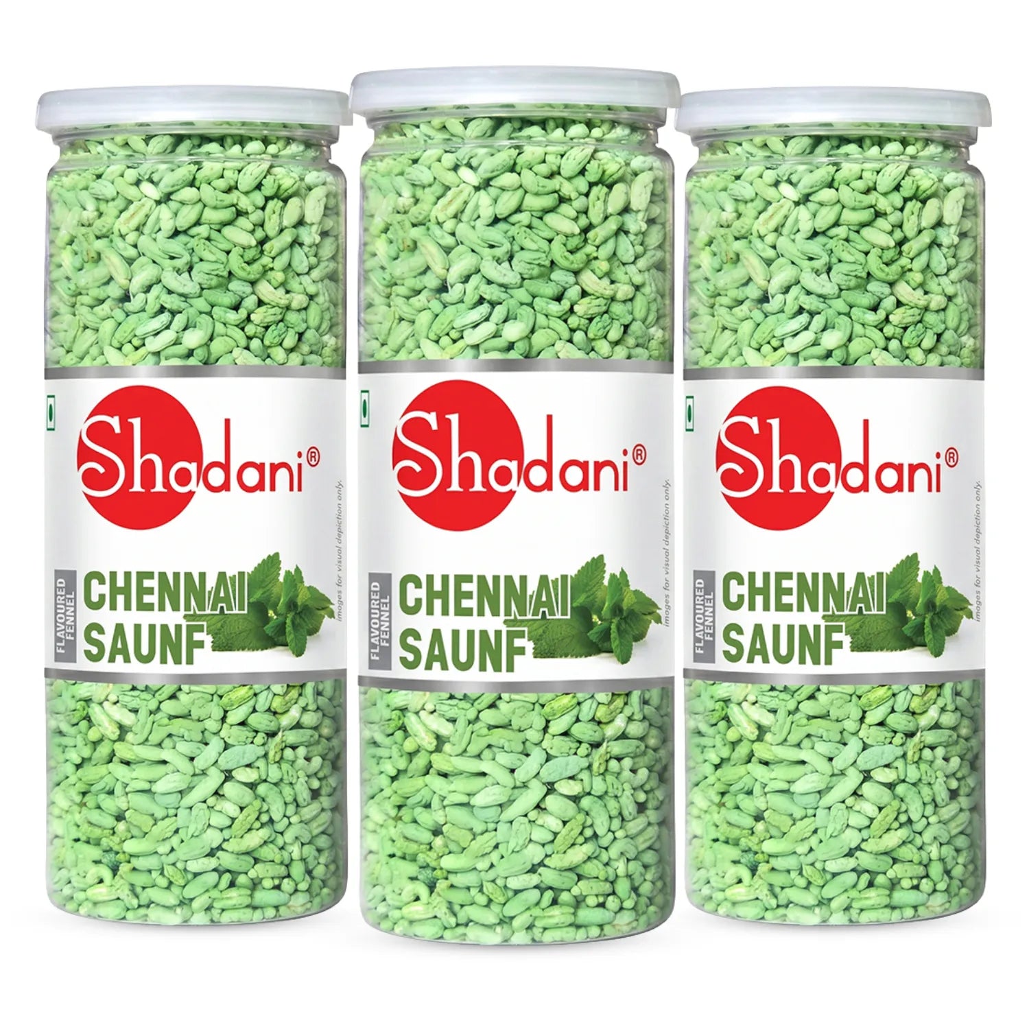 Chennai Saunf (200g)