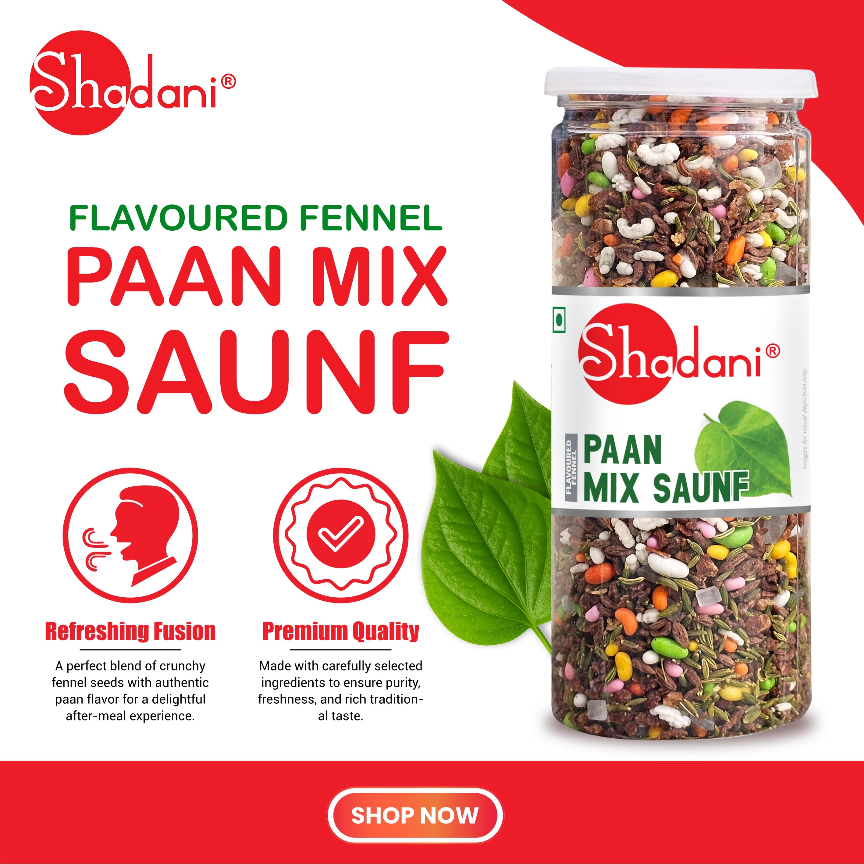 Paan Mix Saunf