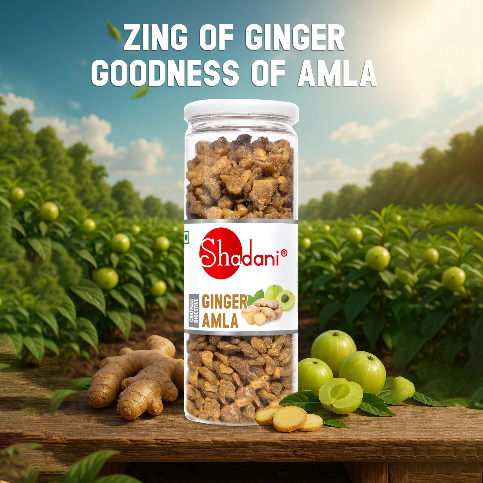 Ginger Amla