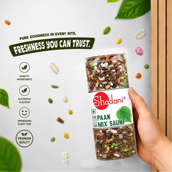 Paan Mix Saunf (200g)