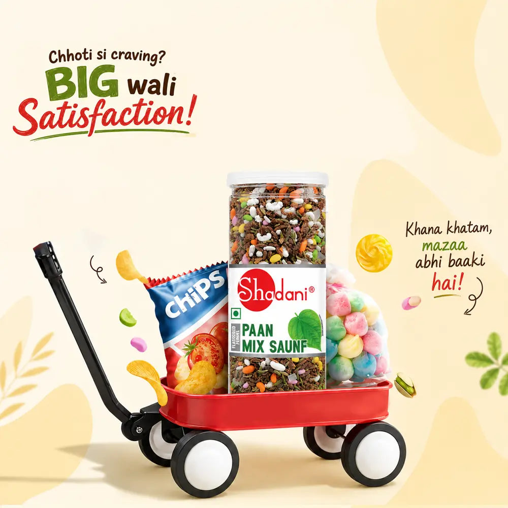 Paan Mix Saunf (200g)